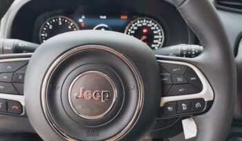 IMG20250217095855-350x205 Jeep Renegade 1.6 mjt 130cv Limited 2023 km 38000